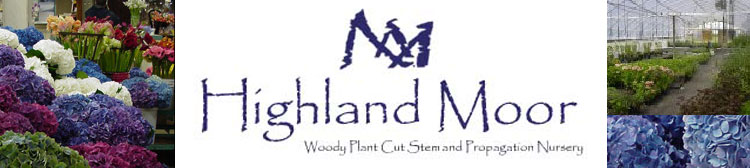 About Highland Moor