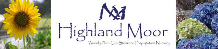 Highland Moor Frequently Asked Questions